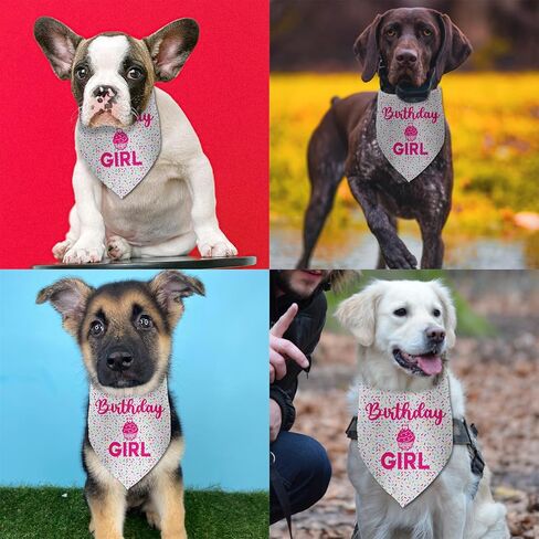 Dog Birthday Bandana Birthday Girl Pet Scarf Bibs Accessories Party Supplies for Dog Lover Small Medium Puppy Bandanas Girl in Kuwait