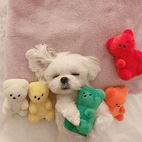 ChoChoCho Dog Toys Gummy Bear Plush Dog Toy with Squeaker (5-Packs) - Cute and Soft Chew Toys for Small and Medium Dogs, Durable Squeaky Dog Toy