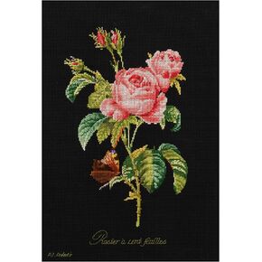 Thea Gouverneur - Cross Cross Stitch Kit - Rose Redouté - Aida - 18 Count - مجموعة التطريز للبالغين - مؤشرات ترابط DMC وغيرها