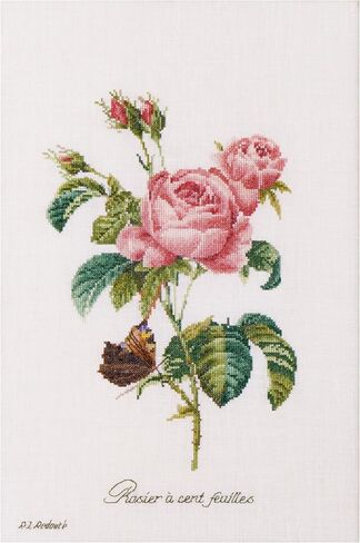Thea Gouverneur - Counted Cross Stitch Kit - Rose Redouté - Aida - 18 Count - Embroidery Kit for Adults - DMC Embroidery Threads and Other Cross Stitch Supplies Included - 2030A in Saudi Arabia