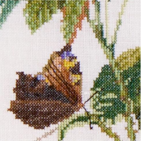 Thea Gouverneur - Counted Cross Stitch Kit - Rose Redouté - Aida - 18 Count - Embroidery Kit for Adults - DMC Embroidery Threads and Other Cross Stitch Supplies Included - 2030A in Saudi Arabia