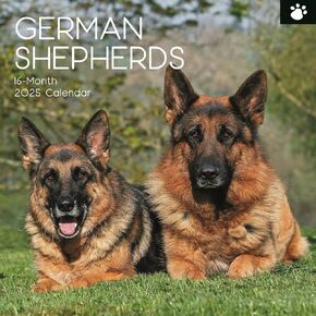 The Gifted Stationary 2025 Square Wall Calendar, German Shepherd, 16-Month Paw Prints Theme Hanging Calendar with 180 Reminder Stickers, Month Planner for Home, or Creative Spaces, 12x12 In