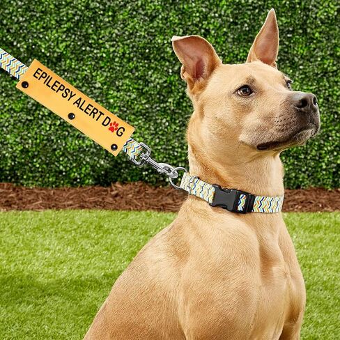 PWHAOO Epilepsy Alert Dog Leash Sleeve Emergency Medical Dog Leash Wrap Epilepsy Medical Alert Gift (Epilepsy Sleeve) in Saudi Arabia