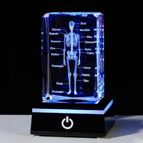 Movdyka 3D Human Brain Anatomy Model Doctor Psychology Graduation Gifts for Him Her, 3D Laser Etched Crystal Cube Brain Figure Paperweight Science Biology Gift with Colorful LED Base