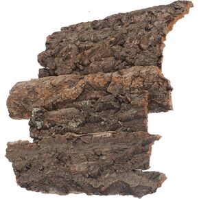 balacoo Terrarium Tree Bark: 4pcs Reptile Bark Decoration Natural Cork Bark Backdrop Reptile Tank Background Leopard Cork Bark - Tarantula Enclosure Accessories