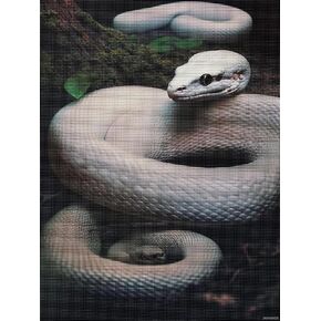 JXAVAXDE Diamond Painting Set, White Snake 5D DIY Diamond Art Painting, Animal Series Painting, Suitable for Home, Office, and Wall Decoration, Ideal Gift for Family and Friends 12x16 Inch