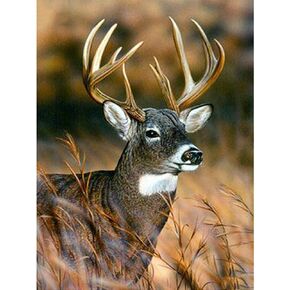 GELANYOUPIN 5D DIY Animal Rhinestone Painting Scenic Deer Full Round Drill Mosaic DIY Beads Embroidery Deer Cross Stitch Home Decor Gift for Adults (30x45cm/11.8x17.7inches)