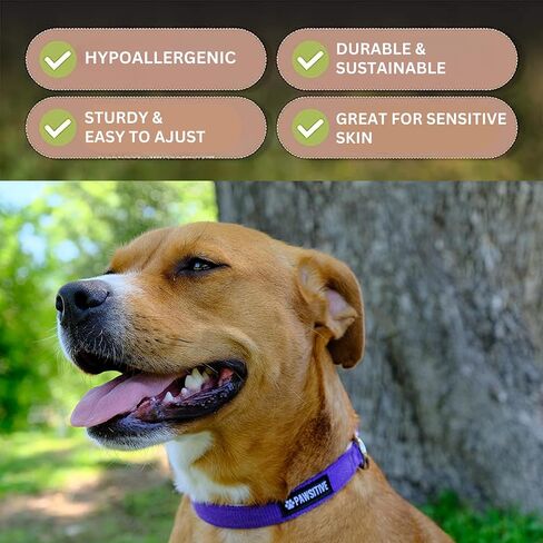 Pawsitive Hemp Dog Collar - We Donate a Collar for Every Collar Sold. Help a shelter in Need! Solid Color Adjustable Collar Great for Small, Medium and Large Dogs (Medium Green) in Saudi Arabia