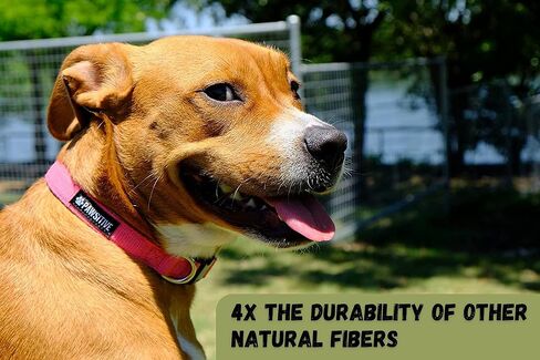 Pawsitive Hemp Dog Collar - We Donate a Collar for Every Collar Sold. Help a shelter in Need! Solid Color Adjustable Collar Great for Small, Medium and Large Dogs (Medium Green) in Saudi Arabia