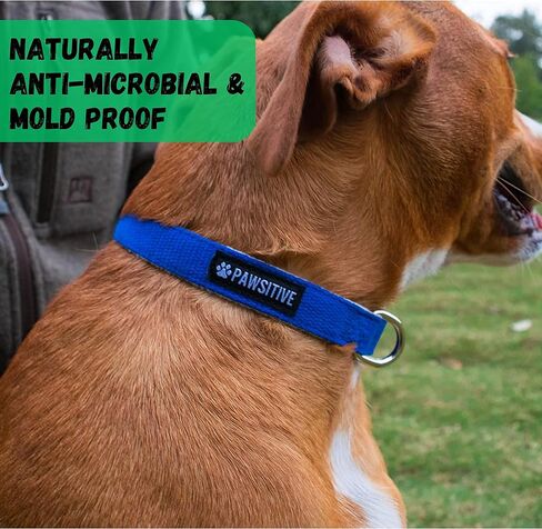 Pawsitive Hemp Dog Collar - We Donate a Collar for Every Collar Sold. Help a shelter in Need! Solid Color Adjustable Collar Great for Small, Medium and Large Dogs (Medium Green) in Saudi Arabia