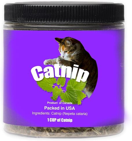 Catnip Blend - تعامل Catnip غير المدمن من أجل تعزيز المرح. أمريكا الشمالية مصنوعة ، 100 ٪ طبيعية. مثالي لاستكمال ألعاب النعناع البري ، ورذاذ النعناع البري ، وملحقات القط (كوب واحد) in Kuwait