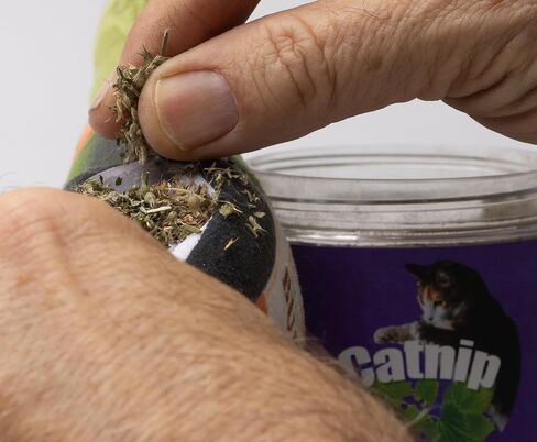 Catnip Blend - تعامل Catnip غير المدمن من أجل تعزيز المرح. أمريكا الشمالية مصنوعة ، 100 ٪ طبيعية. مثالي لاستكمال ألعاب النعناع البري ، ورذاذ النعناع البري ، وملحقات القط (كوب واحد) in Kuwait