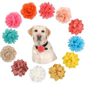 12 Pcs Dog Flower Collar Accessory, Dog Collar Flowers, Multi-Color Pet Flower Collars, Pet Flower Bow Ties Dog Flower, Dog Flower Bow Ties Puppy Charms, Pet Collar Flower for Puppy Collar, 3 Style in Kuwait