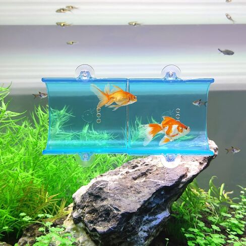 2 حزمة Betta نفق أنبوب خزان الأسماك ، ملحقات Betta Fish Tank للراحة ، اللعب ، إخفاء ، Betta Fish Tank Decor in Kuwait