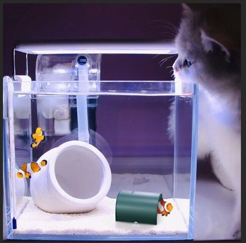 2 حزمة Betta نفق أنبوب خزان الأسماك ، ملحقات Betta Fish Tank للراحة ، اللعب ، إخفاء ، Betta Fish Tank Decor in Kuwait