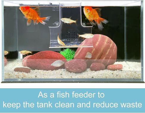 2 حزمة Betta نفق أنبوب خزان الأسماك ، ملحقات Betta Fish Tank للراحة ، اللعب ، إخفاء ، Betta Fish Tank Decor in Kuwait