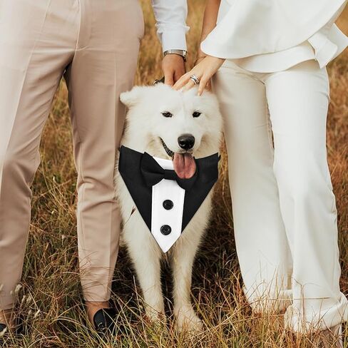 Formal Dog Bandana with Adjustable Collar - Suit Style Bow Tie and Button Design for Small to Large Dogs, Ideal for Weddings, Parties, and Special Occasions (Black, Medium) in Saudi Arabia