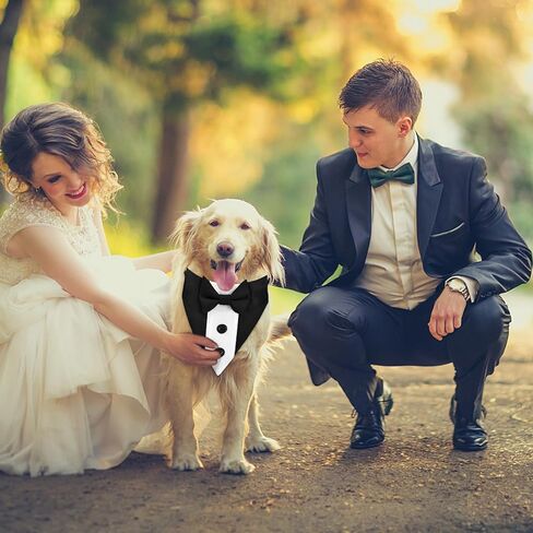 Formal Dog Bandana with Adjustable Collar - Suit Style Bow Tie and Button Design for Small to Large Dogs, Ideal for Weddings, Parties, and Special Occasions (Black, Medium) in Saudi Arabia