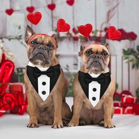 Formal Dog Bandana with Adjustable Collar - Suit Style Bow Tie and Button Design for Small to Large Dogs, Ideal for Weddings, Parties, and Special Occasions (Black, Medium) in Saudi Arabia