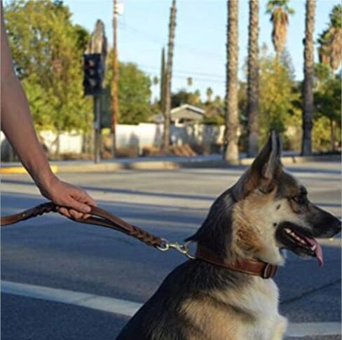 Guiding Star Double Handle Leather Dog Leash 6ft, Heavy Duty Braided Dog Leash with Traffic Handle for Small Medium & Large Dogs (Two Handles 6 Foot x 5/8", Brown) in Kuwait