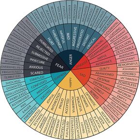 HOODANCOS Feelings Wheel Chart Stickers Emotion Decal Self-adhesive Mental Color Chart for Car Social Worker Counselor Skateboard Laptop Cup
