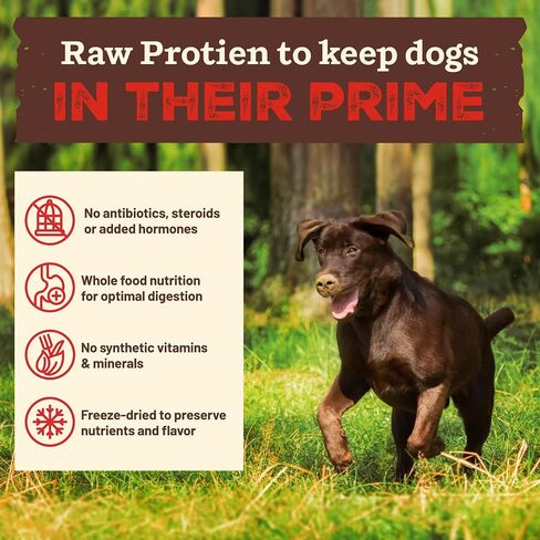 primal kibble في طعام الكلاب المجفف الخام المجفف ، الدجاج ، مغرفة وتقدم ، مصنوع من البروتين الخام ، وتغذية المكونات الكاملة ، مصنوعة في الولايات المتحدة الأمريكية ، كيس الكلاب الجافة 5.4 رطل in Kuwait