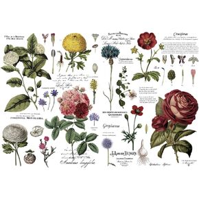 Redesign Decor Transfers® – Vintage Botanical – Total Sheet Size 48″x35″, Cut into 6 Sheets 655350646509