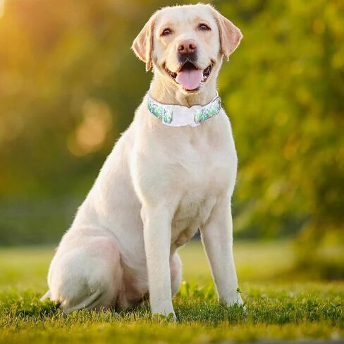 Adjustable Dog Collar, Special Design Patterns, Soft Nylon Comfortable Durable Pet Collar for Small Medium Large Dogs, Perfect Pet Collar Gift (S, Pink) in Kuwait