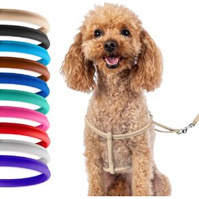 CollarDirect Rolled Leather Dog Harness Small Puppy Step-in Leash Lead Set for Walking 10 Colors (White, XS)
