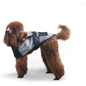 Black Dog Coat (Large), Dog Clothe for Spring, Spring Collection for Dogs, raioncoat for Dogs, Cocker Spaniel