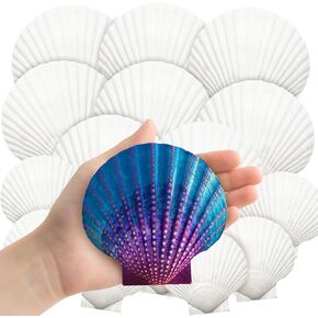 YUJUN 18PCS Large Natural Scallop Shells,4''-5'' White Seashells Bulk for Crafts DIY Painting Baking and Ocean Summer Beach Wedding Home Decorations(2 Sizes)