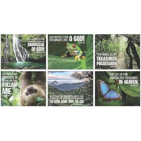 Fun Express Rainforest Poster Set - Educational and Learning Activities for Kids - VBS Vacation Bible School Supplies/Decor - 6 Pieces