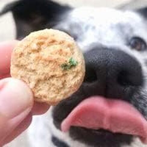 The Lazy Dog Cookie Co. Mutt Mallows Soft Baked Dog Treats, Wheat, Corn & Soy Free, Baked in The USA, 5 oz Cost Saving Variety Bundle (Pack of 3) in Saudi Arabia