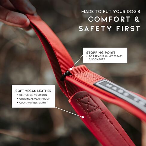 MADE TO ROAM Premium Everyday Dog Collar - Martingale Style No Pull Vegan Leather Collar, Heavy Duty and Lightweight for Small, Medium, Large Dogs (Oregon Haze, Size 1) in Saudi Arabia