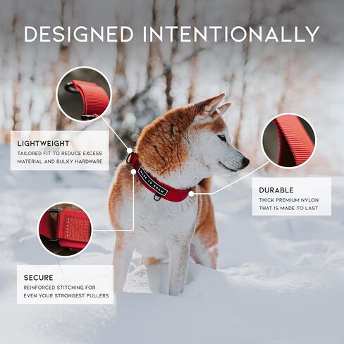 MADE TO ROAM Premium Everyday Dog Collar - Martingale Style No Pull Vegan Leather Collar, Heavy Duty and Lightweight for Small, Medium, Large Dogs (Oregon Haze, Size 1) in Saudi Arabia