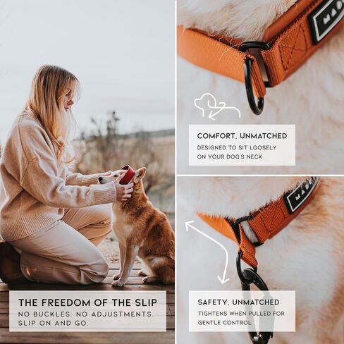 MADE TO ROAM Premium Everyday Dog Collar - Martingale Style No Pull Vegan Leather Collar, Heavy Duty and Lightweight for Small, Medium, Large Dogs (Oregon Haze, Size 1) in Saudi Arabia