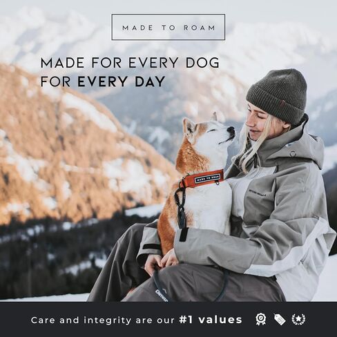 MADE TO ROAM Premium Everyday Dog Collar - Martingale Style No Pull Vegan Leather Collar, Heavy Duty and Lightweight for Small, Medium, Large Dogs (Oregon Haze, Size 1) in Saudi Arabia
