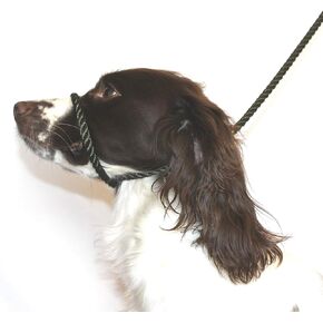 Dog & Field Figure of 8 Dog Leash, Olive Green. Cotton Rope Leash for Small, Medium & Large Dogs, One Size Fits All, No Collar Or Harness Needed. No Pull Dog Leash, Halter Lead for Dogs, 6.6 FT x 3/8"