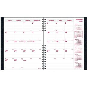 Brownline® 2025 CoilPro™ Monthly Planner, 14 Months, December 2024 to January 2026, Twin-Wire Binding, 8.875" x 7.125", Black (CB1200C.BLK-25)