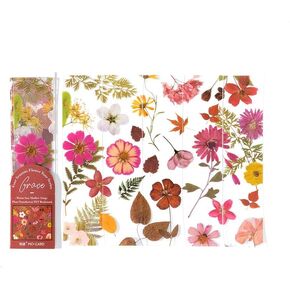 5 PCS Four Seasons Floral Journey Series of Translucent PET Bookmarks,Aesthetic Bookmarks for Women,Students,Book Lovers, Cute Pretty Gifts for Reading (Purple)