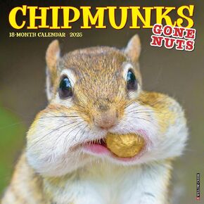 Willow Creek Press Chipmunks (Gone Nuts!) Monthly 2025 Wall Calendar (12" x 12")