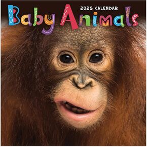 TF PUBLISHING 2025 Baby Animals Wall Calendar | Large Grids for Appointments and Scheduling | Vertical Monthly Wall Calendar 2025 | Home and Office Organization | Premium Gloss Paper | 12"x12"