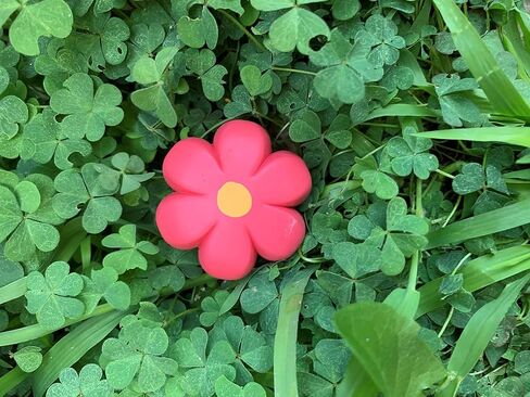 بتلات الفرامل Moxi - سدادات إصبع القدم التزلج على الأقطاب المطاطية - زوج in Kuwait