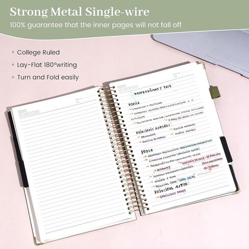 Flying Eagle Leather 5 دفتر ملاحظات موضوع مع علامات تبويب مقسمات القلم ، 360 صفحة ، تم حكمت كلية Notebooks SPOONS ، Green ، Green ، in Kuwait