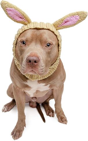 Zoo Snoods Jack Rabbit Costume - Knit Dog Snood Ear Wrap for Pets, Warm Neck Cover for Halloween and Winter (Large) in Saudi Arabia