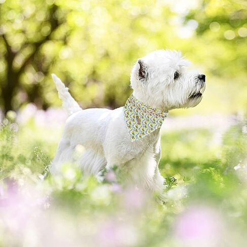 Dog Bandana-1PC Trefoi Print Dog Bandanas St Patrick's Bandanas Holiday Bandanas Spring Bandanas Bibs Scarf Square Pink Soft Dog Kerchief Pet Bandanas for Small Medium Large Dogs in Kuwait
