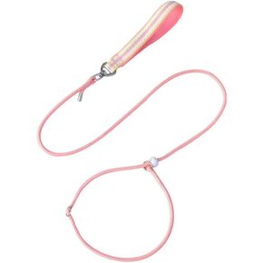 Slip Lead Dog Leash, 5Ft x 1/5" Dog Training Leash for Small and Medium Dog,Green.