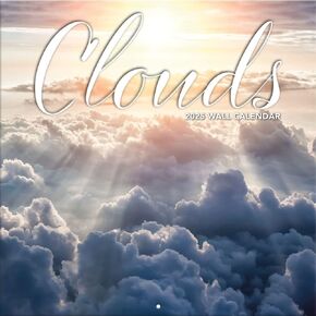 TURNER PHOTOGRAPHIC 2025 Clouds 12x12 Photo Wall Calendar (25998940015)