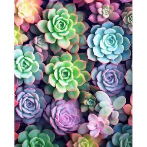 Arpilul Succulent Paint by Number for Adults-Paint by Number, Paint by Numbers for Adults Beginner, Adult Paint by Number Kits on Canvas for Home Wall Art Decoration and Gifts 16x20Inch(Z-YH23)