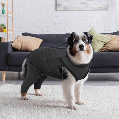 Lelepet Dog Recovery Suit for Rear Legs,Dog Leg Sleeve to Stop Licking,Lick Sleeve for Dogs Rear Legs Abdomen,Dog Onesie for Surgery Female Male,Dog Pants to Prevent Licking,Dog Cone Alternative in Saudi Arabia